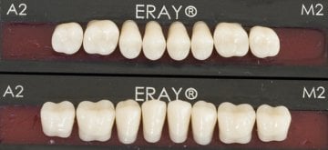 Eraylar Akrilik Dişler