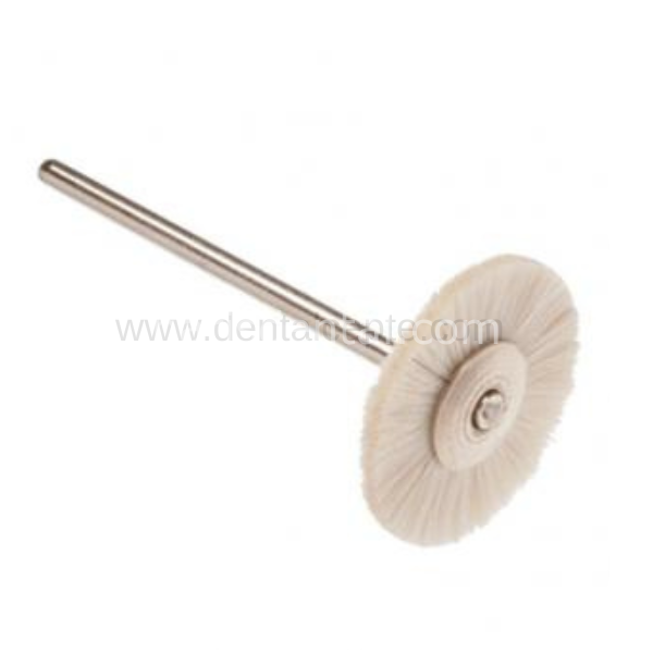 Kıl Fırça - Piyasemen İçin