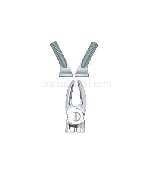 Davye Üst Küçük Azı