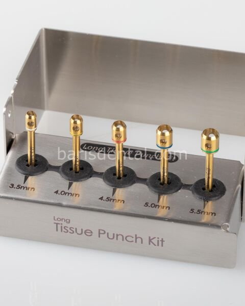 Davye Üst Küçük Azı