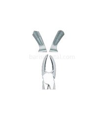 Davye Üst Büyük Azı (Sağ)