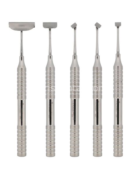 Davye Üst Büyük Azı (Sağ)