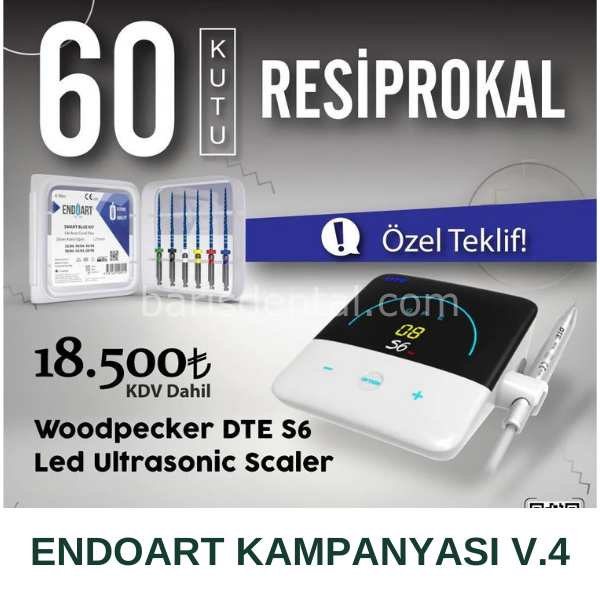 Endoart Resiproc Kanal Eğesi 60 Adet + Woodpecker DTE S6 Led Ultrasonic Scaler KAMPANYA