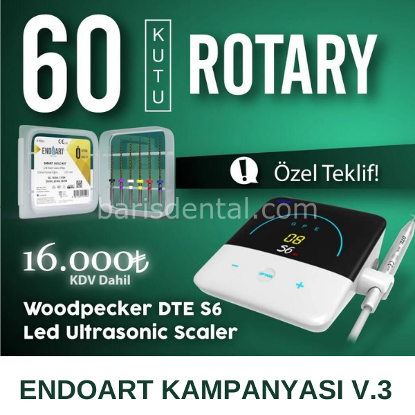 Endoart Kanal Eğesi 60 Adet + Woodpecker DTE S6 Led  Ultrasonic Scaler KAMPANYA