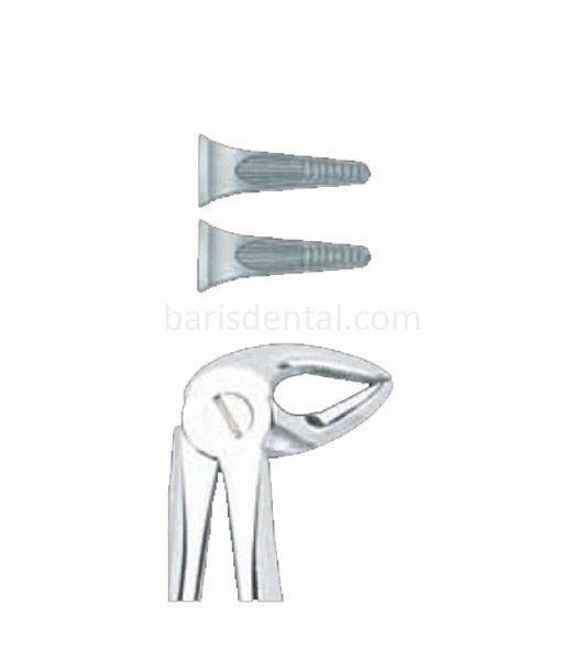 Davye Alt Kök (Kesici)