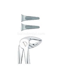 Davye Alt Kök (Kesici)