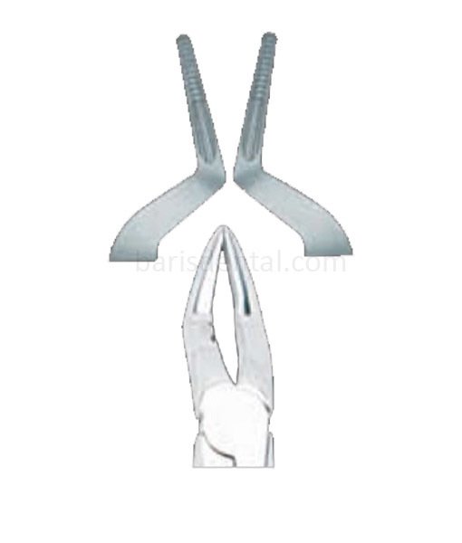 Davye Üst Kök Bayonet