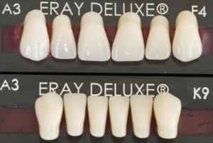 Eraylar Deluxe  Takım Diş Seti ( Deluxe model )