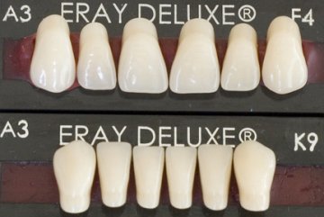 Eraylar Deluxe  Takım Diş Seti ( Deluxe model )