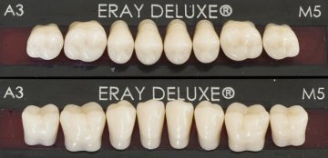 Eraylar Deluxe Üst ve Alt Azı Dişler