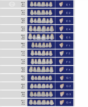 Eraylar Deluxe Üst ve Alt Azı Dişler