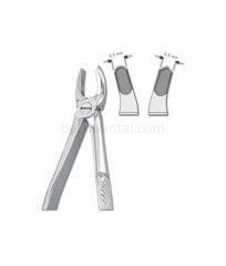 Davye Çocuk - Üst Molar