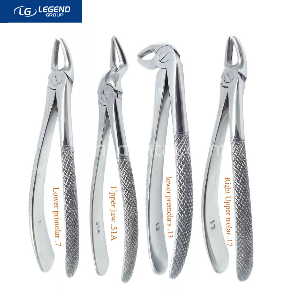 LegendPlus Yetişkin Davye Seti  10'lu Set