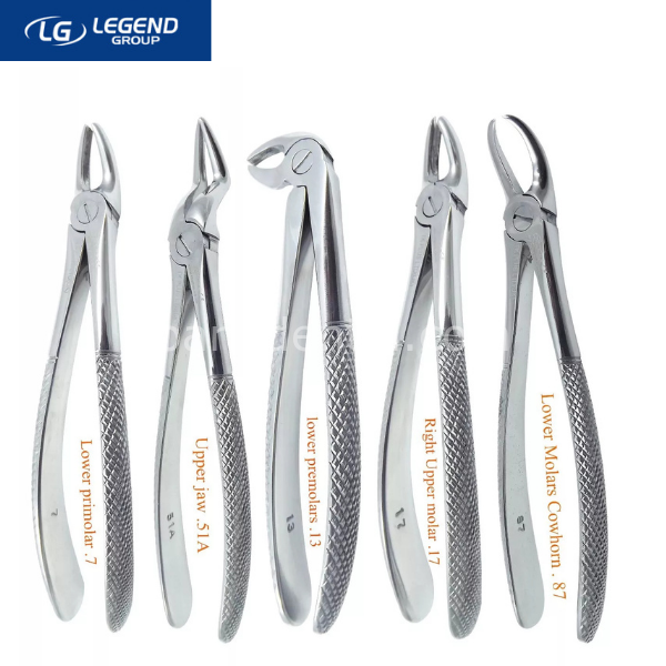 LegendPlus Yetişkin Davye Seti  10'lu Set