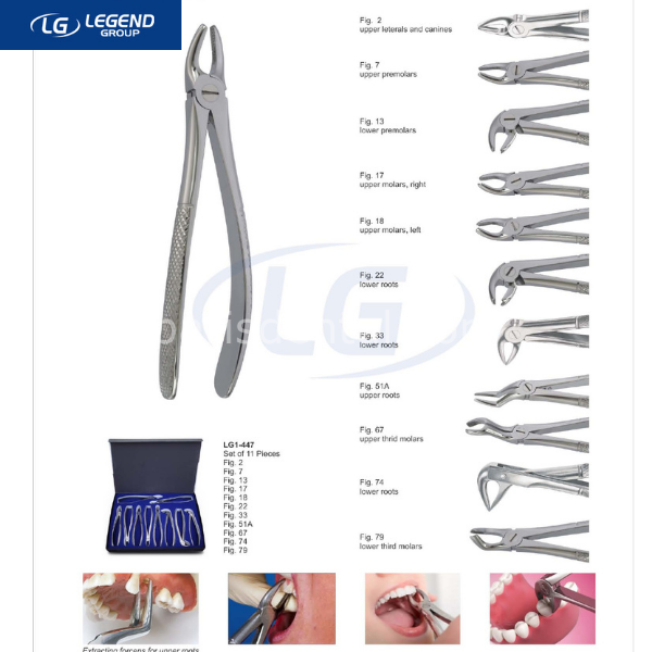 LegendPlus Yetişkin Davye Seti  10'lu Set