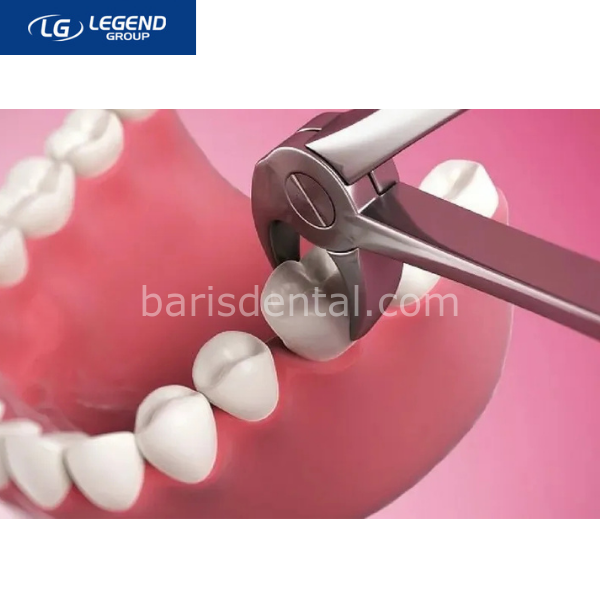 LegendPlus Yetişkin Davye Seti  10'lu Set