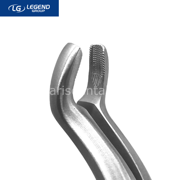 Legend Plus Üst Üçüncü Azı Dişi Çekim Davyesi