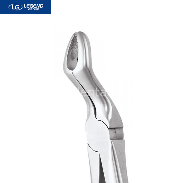 Legend Plus Üst Üçüncü Azı Dişi Çekim Davyesi