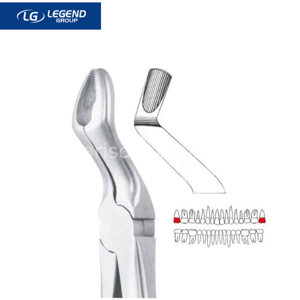 Legend Plus Üst Üçüncü Azı Dişi Çekim Davyesi