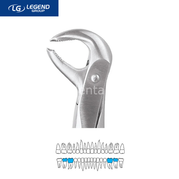 Legend Plus Davye Alt Azı Dişleri (Fig.73)