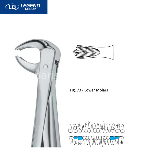 Legend Plus Davye Alt Azı Dişleri (Fig.73)