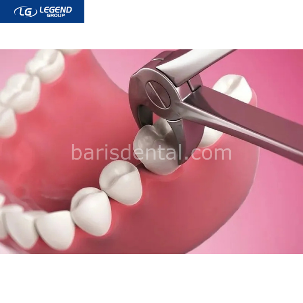 Legend Plus Davye Alt Azı Dişleri (Fig.73)