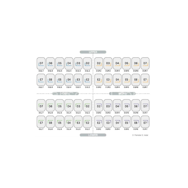 Kids Crown PÇK Paslanmaz Çelik Kron Seti Molar 96 lık Kit