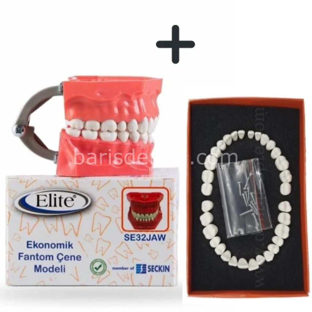 Elite Diş etsiz Fantom Çene + 32lik Yedek diş takım
