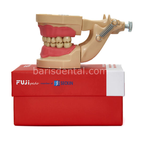 Fuji Pedo Pedodontik Fantom Çene Modeli 24 lü