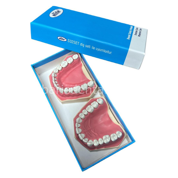 Elite Fantom Çene Diş Etli-32lik