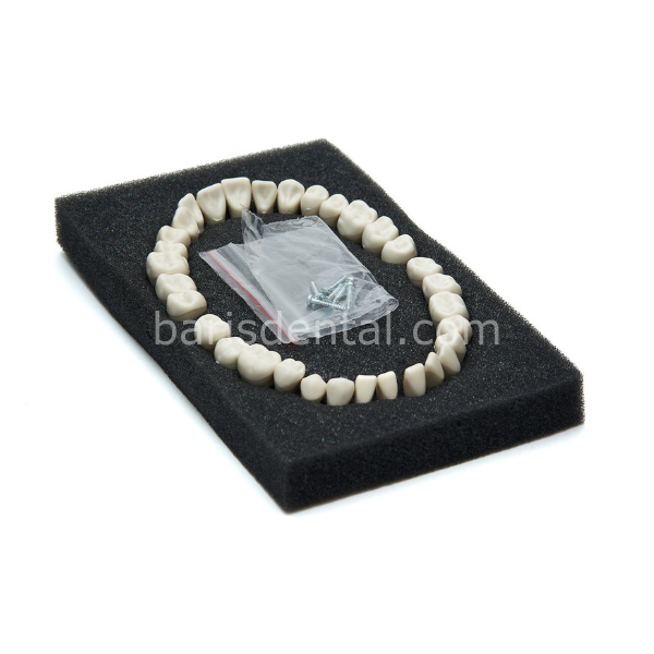 Fuji Fantom Çene Diş yedekleri 32 lik Ekonomik Paket