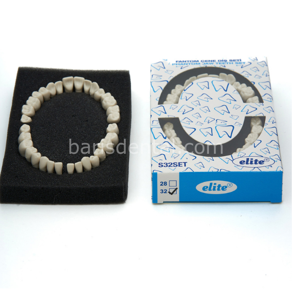 Fuji Fantom Çene Diş yedekleri 32 lik Ekonomik Paket