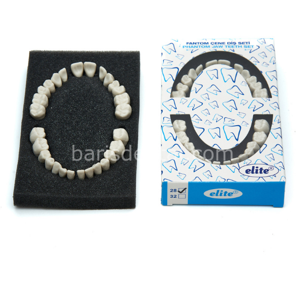 Fuji Fantom Çene Diş Yedekleri 28 Lik Ekonomik Paket