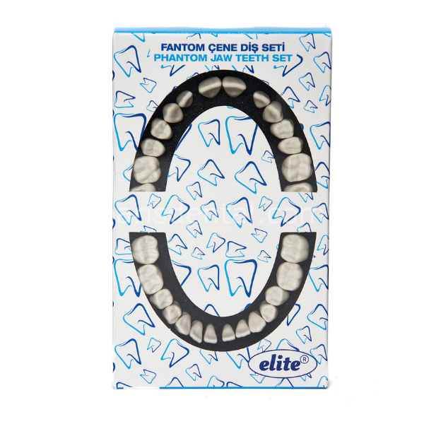 Fuji Fantom Çene Diş Yedekleri 28 Lik Ekonomik Paket