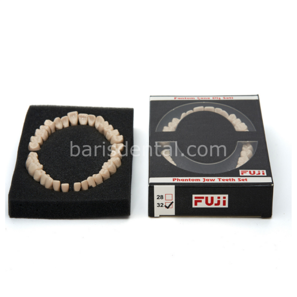 Fuji Fantom Çene Diş Yedekleri 32 lik ( Kaliteli)