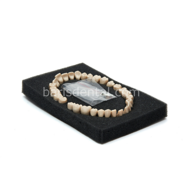 Fuji Fantom Çene Diş Yedekleri 32 lik ( Kaliteli)