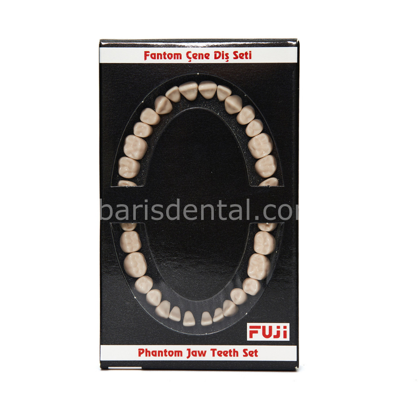 Fuji Fantom Çene Diş Yedekleri 28 lik ( Kaliteli)