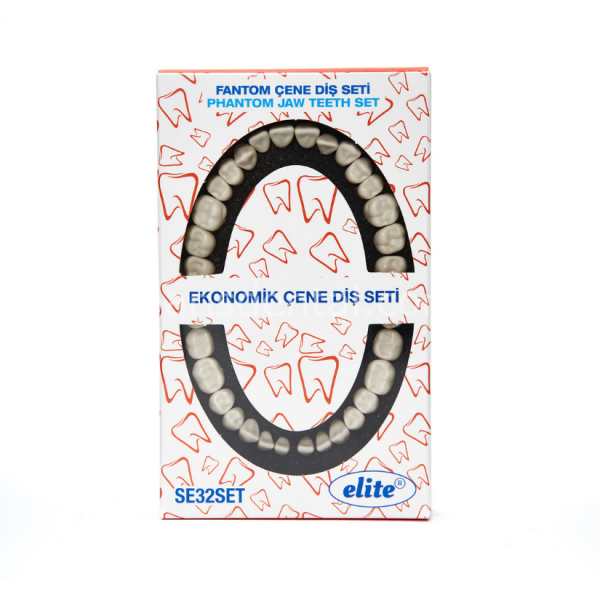 Elite Diş Etsiz Fantom Çene Diş Yedekleri 32 lik