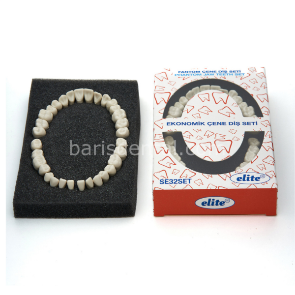 Elite Diş Etsiz Fantom Çene Diş Yedekleri 32 lik