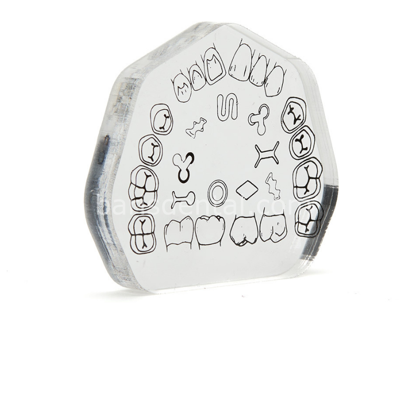 Fuji Preparasyon Eğitim Bloğu ( Şeffaf )