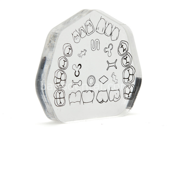 Fuji Preparasyon Eğitim Bloğu ( Şeffaf )