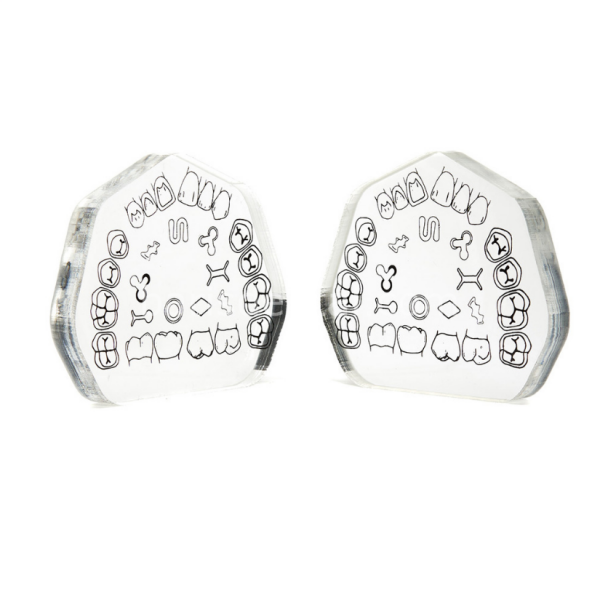 Fuji Preparasyon Eğitim Bloğu ( Şeffaf )