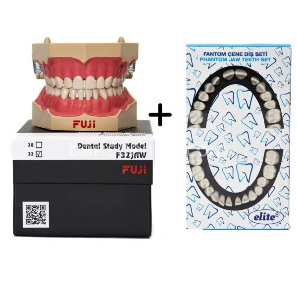 Fuji Fantom Diş Etli Çene 32 lik + Yedek Diş Seti 32 lik