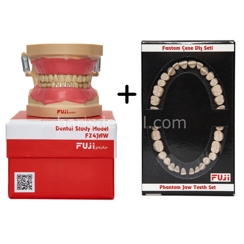 Fuji Fantom Diş Etli Pedo Çene 24 lük + Yedek Diş Seti