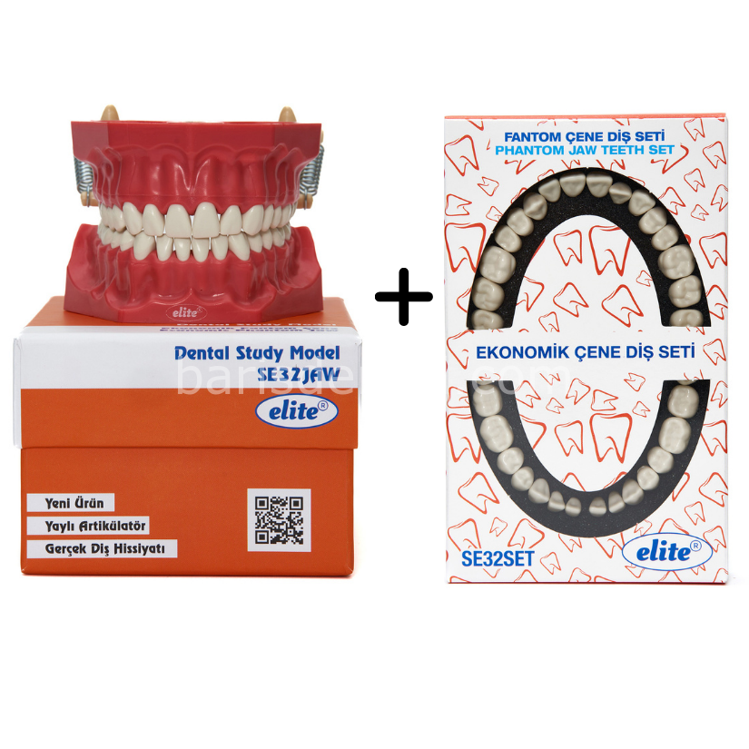 Elite Diş etsiz Fantom Çene + 32lik Yedek diş takım
