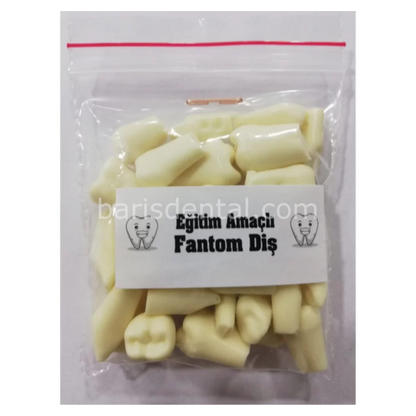 Fantom Çene Diş yedekleri 32lik
