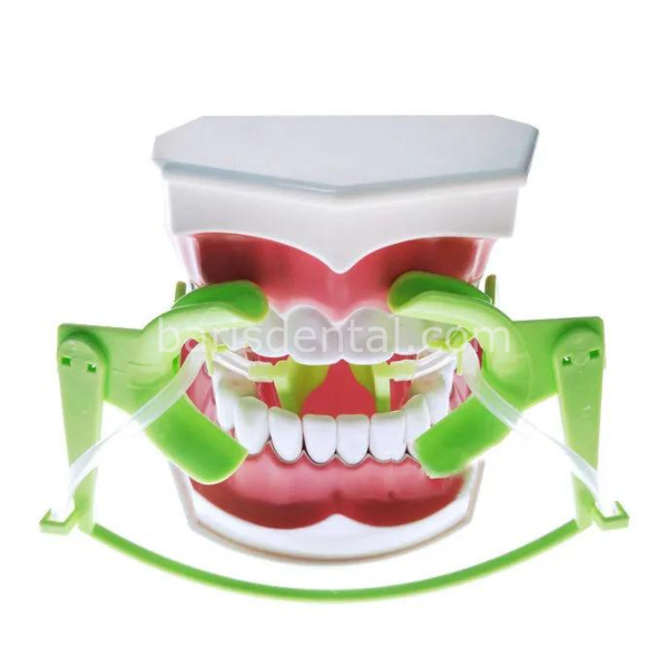 Cotisen Ekartör Modeli 2