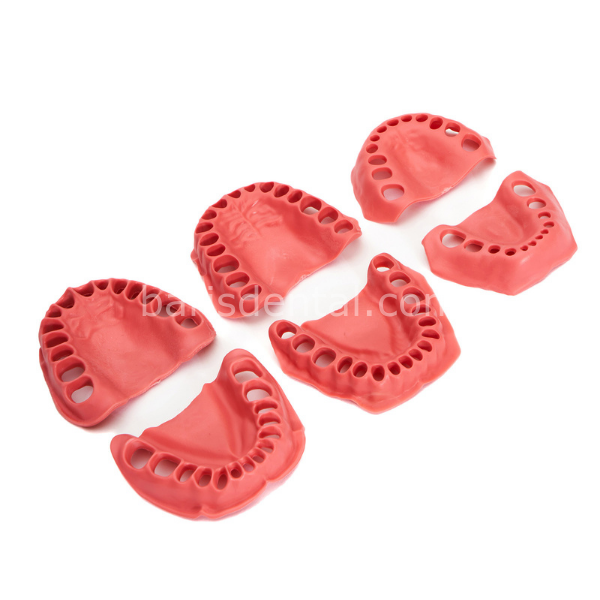 Fuji Diş etli Çene için Diş Eti Takımı 28'lik