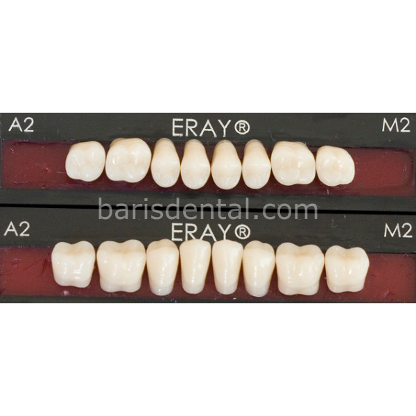 Eray Protez Diş Takım Seti 28'lik - Akrilik Diş Seti
