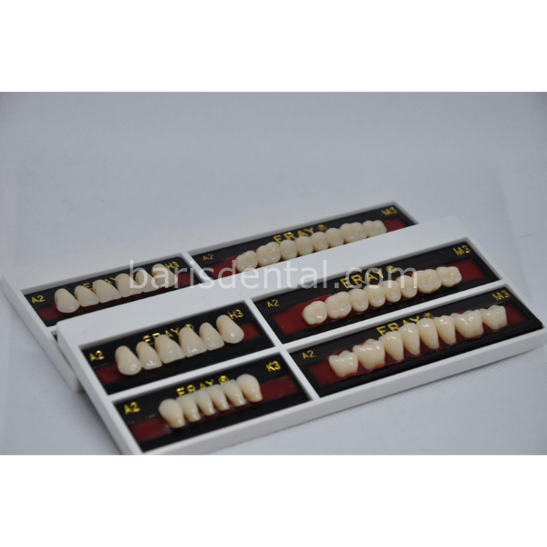 Eray Protez Diş Takım Seti 28'lik - Akrilik Diş Seti